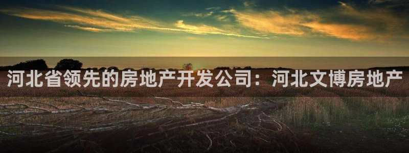 万向娱乐下载安装