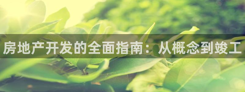 万向娱乐平台代理多少钱一个