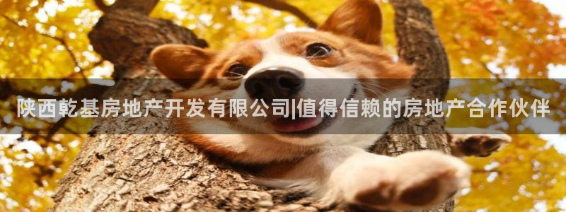 万象游戏代理