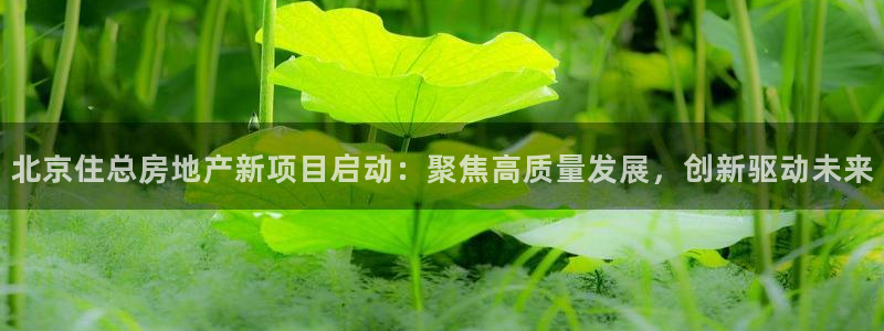 万向娱乐的联系方式有哪些