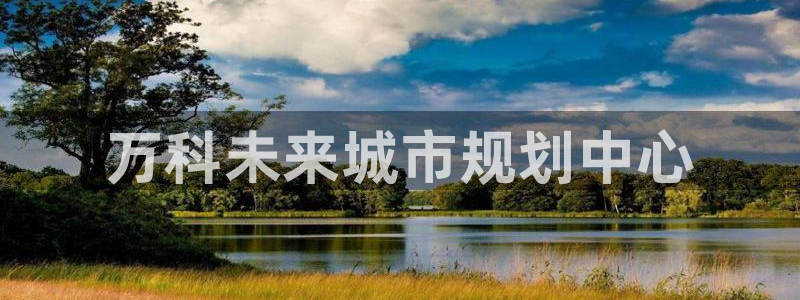 万向娱乐平台招商骗局