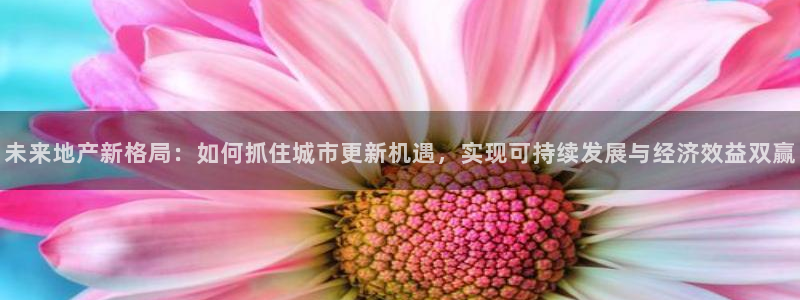 万向娱乐平台代理多少钱