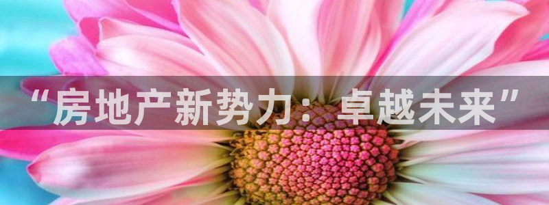 万能娱乐代理网址