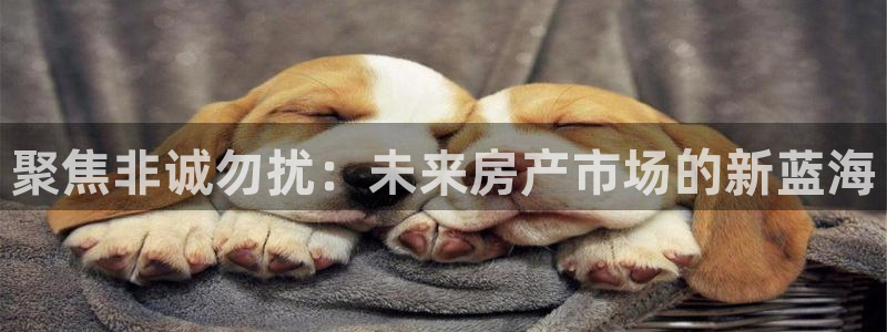 万向娱乐技术