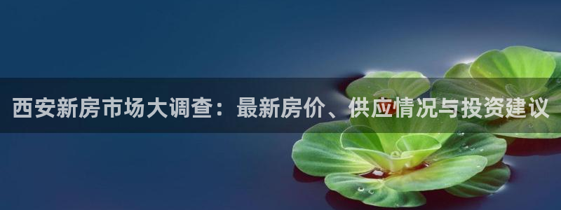万向娱乐平台代理多少钱一个月