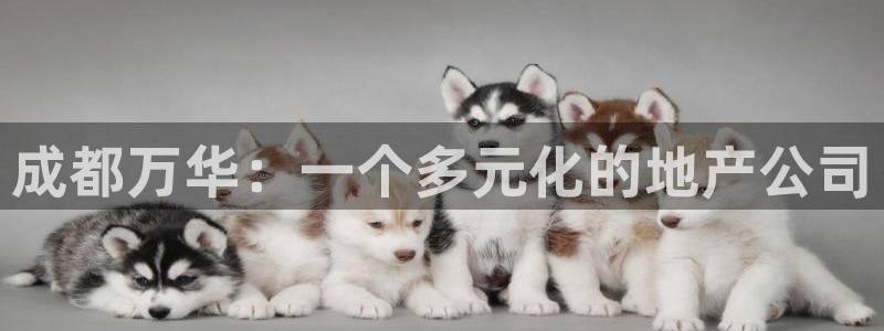 万向娱乐app下载苹果版