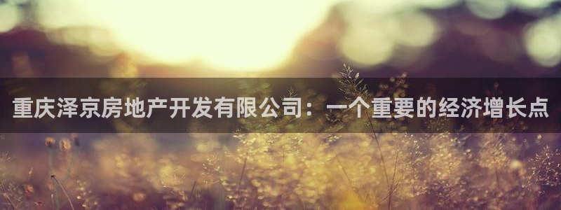万向娱乐登陆官网