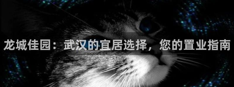 万向娱乐灯333OO