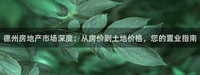 万向娱乐平台代理