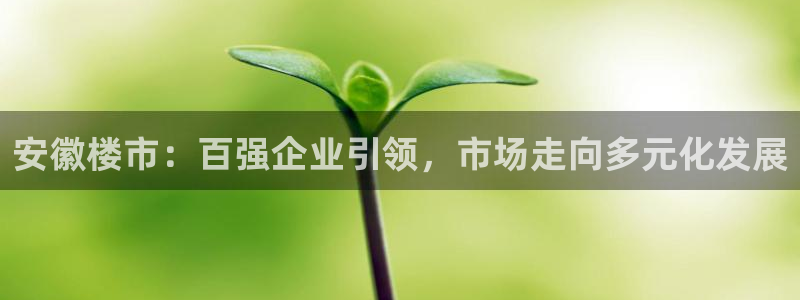 万向娱乐登陆官网下载