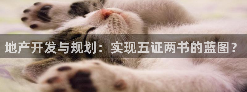 万向娱乐app下载官网