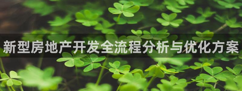 万向娱乐平台代理怎么样啊