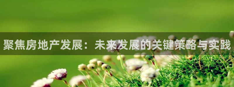 万向娱乐的联系方式有哪些