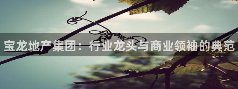万向娱乐灯333OO