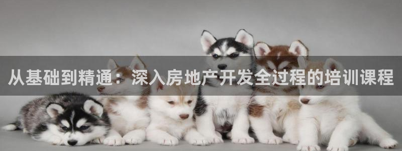 万向娱乐平台代理怎么样