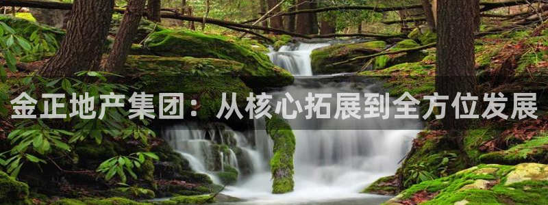 万向娱乐的494o3 主管