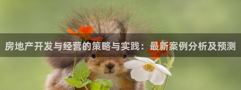 万向娱乐登陆官网入口