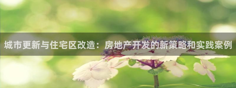万向娱乐平台代理怎么做的