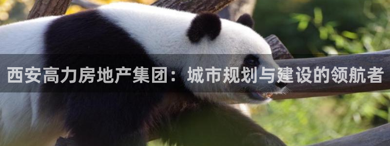 万向娱乐