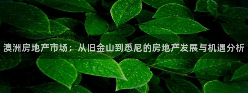 万向娱乐网址是什么