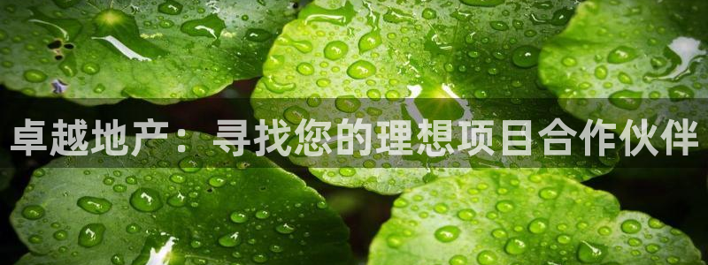 万向娱乐平台代理