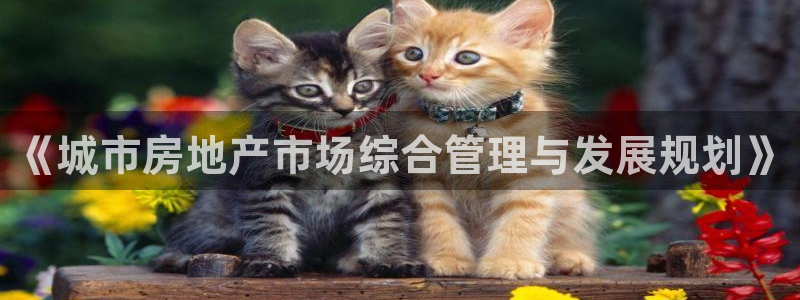 万向娱乐的联系方式是什么