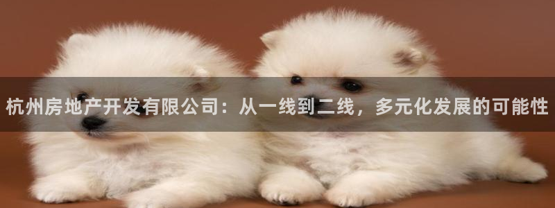 万向娱乐平台代理怎么做