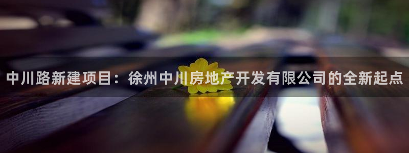 万向娱乐技术