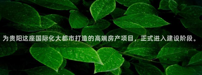 万向娱乐的494o3 主管