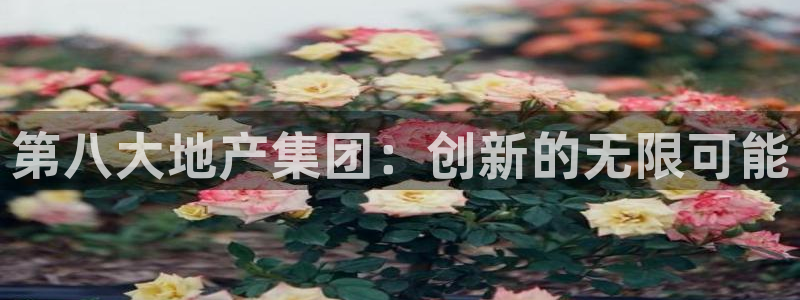 万向娱乐怎么样