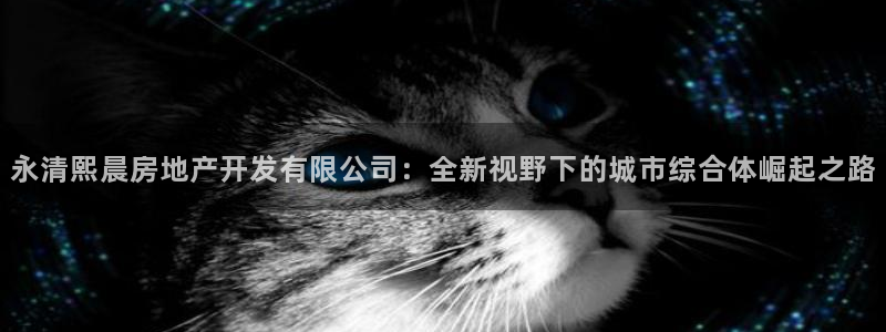 万向娱乐老板