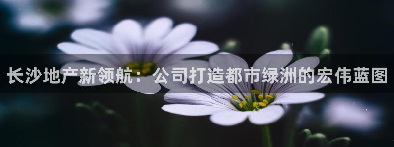 万向娱乐怎么样