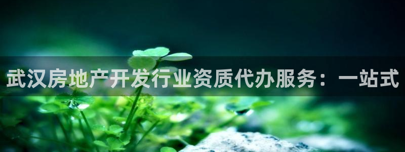 万向娱乐app下载